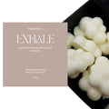 Soy Wax Melts Wellness Collection