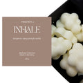 Soy Wax Melts Full Size Wellness Collection